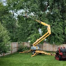 Best Storm Damage Tree Cleanup  in Lake Leann, MI